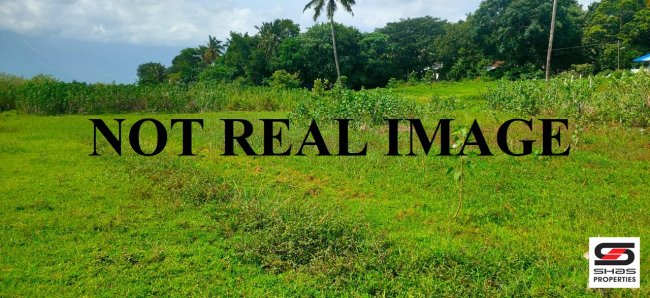 House plot for sale in Chandranagar, Palakkad