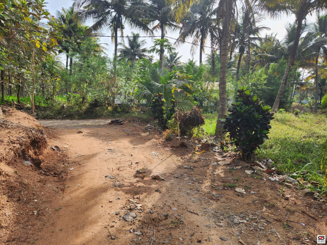 Farmland with house for sale near Gopalapuram, Palakkad