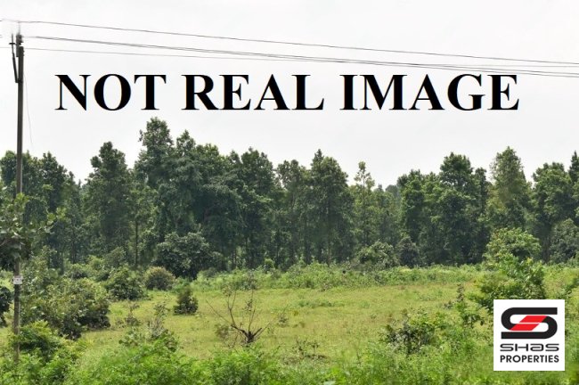 Commercial plot for sale in Kalmandapam, Palakkad