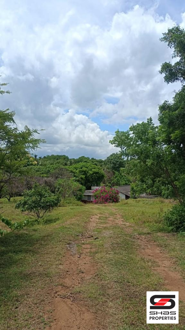 Farmland for sale in Kollengode, Palakkad