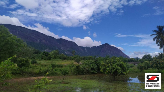 Farmland for sale in Kollengode, Palakkad