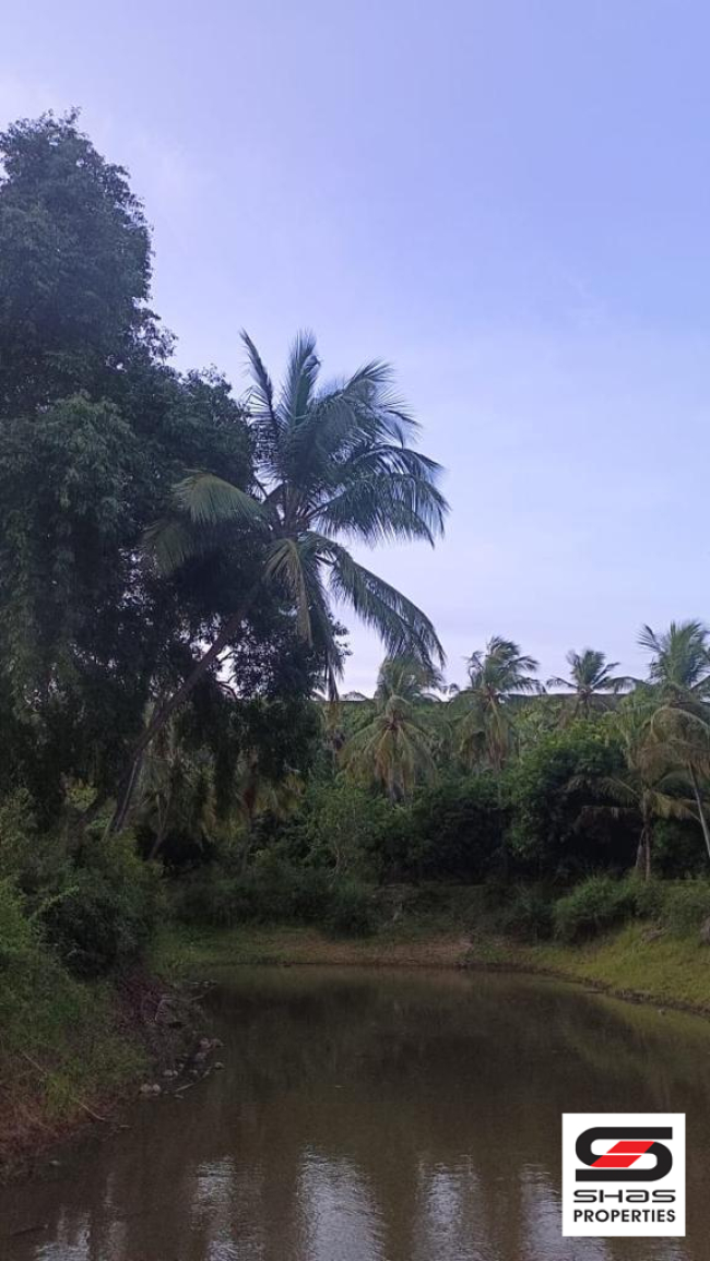 Farmland for sale in Kollengode, Palakkad