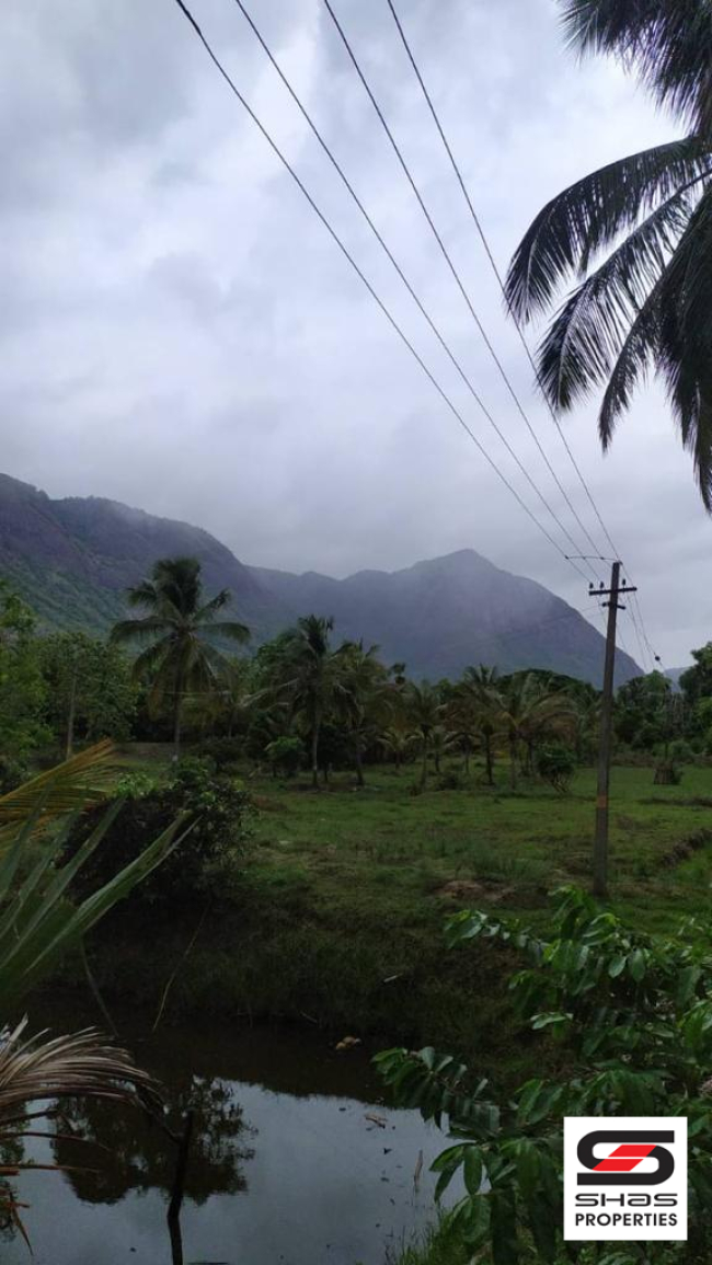 Farmland for sale in Kollengode, Palakkad
