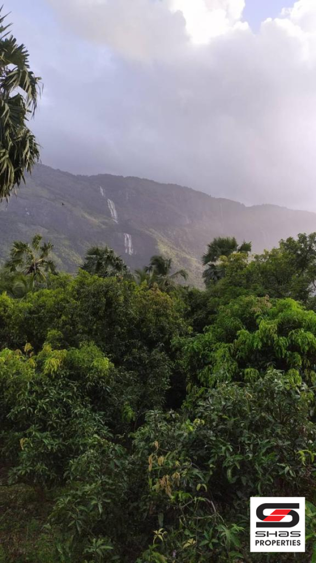 Mango farmland for sale in Kollengode, Palakkad
