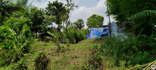House plot for sale in Kottekad, Palakkad