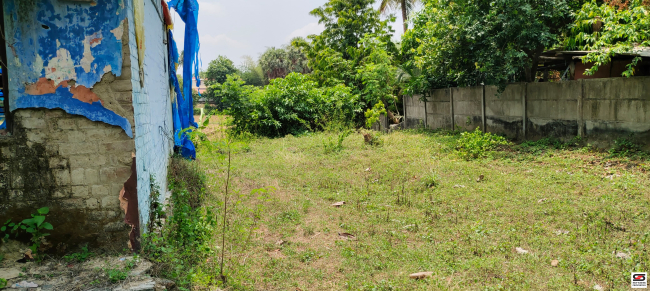 House plot for sale in Kottekad, Palakkad