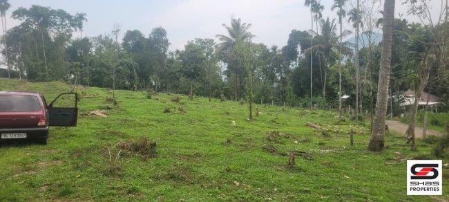 Residential plot for sale in Kalpetta, Wayanad