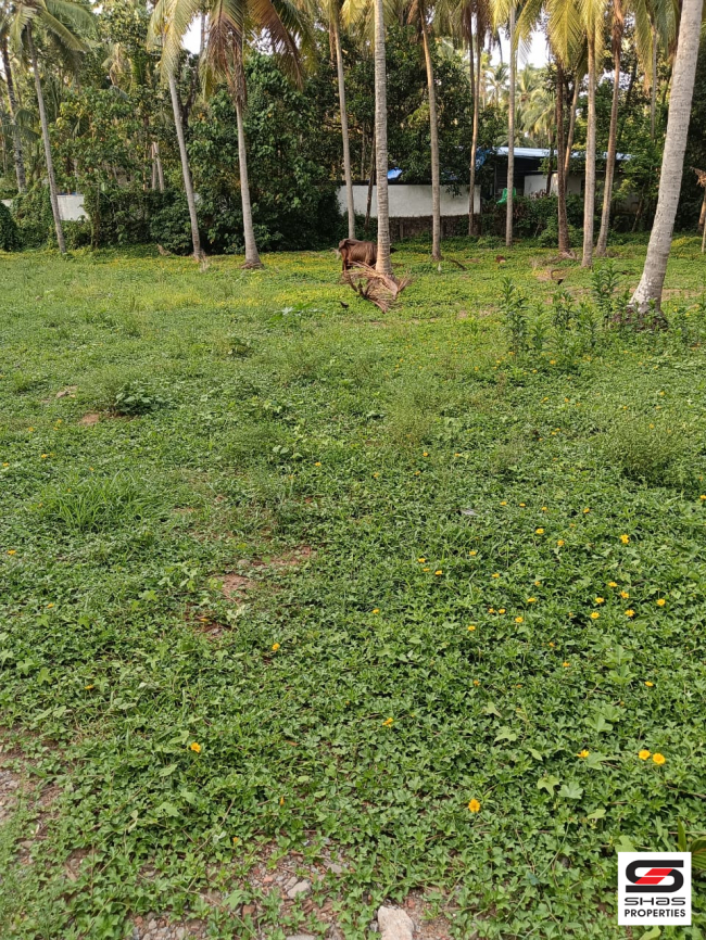 House plots for sale in Guruvayoor, Thrissur