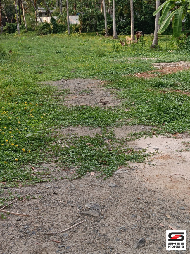 House plots for sale in Guruvayoor, Thrissur