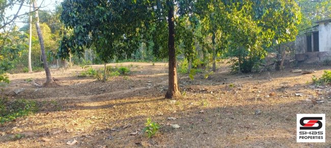 Land with house for sale in Kumaramputhur, Palakkad