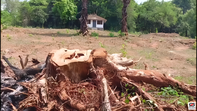 Land for sale near Anakkal, Palakkad