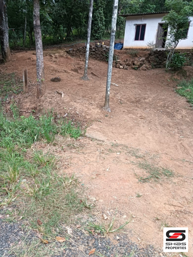 House plot for sale in Attappadi, Palakkad