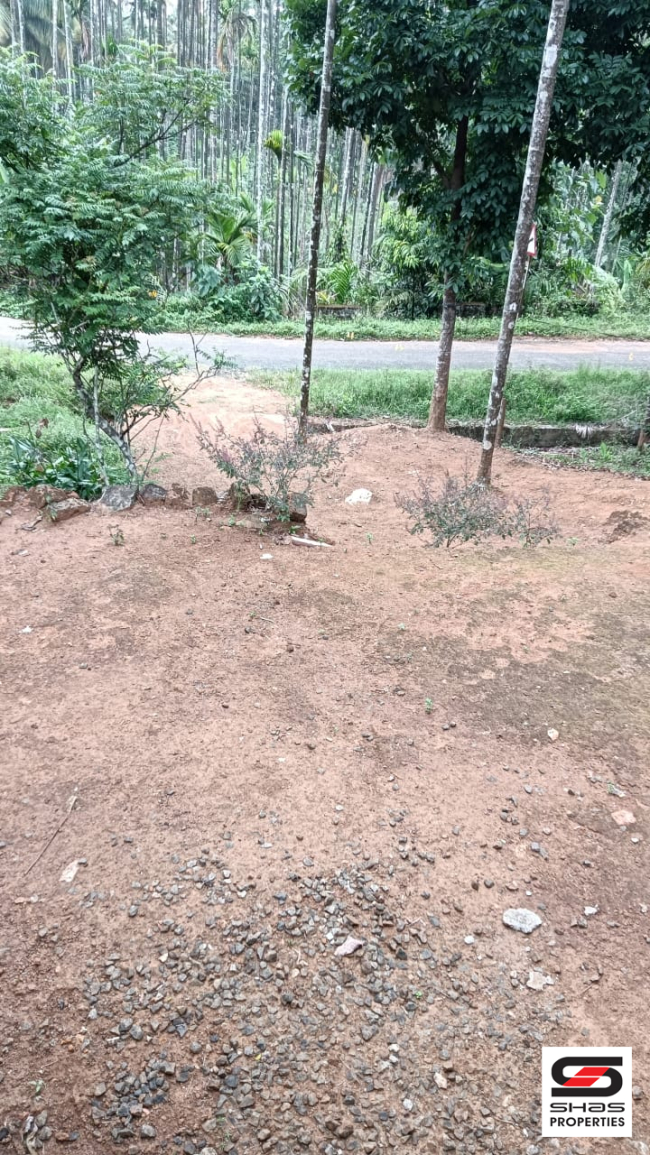 House plot for sale in Attappadi, Palakkad