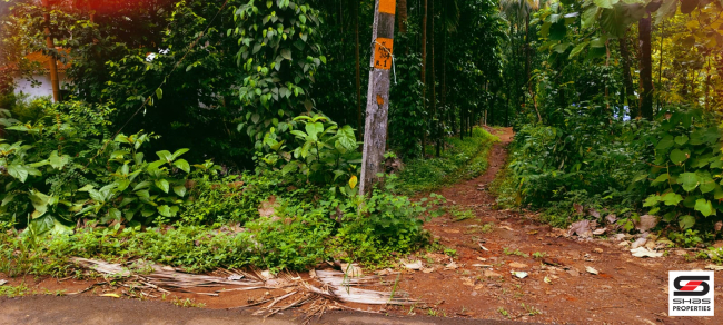 Farmland for sale in Kadappara, Palakkad