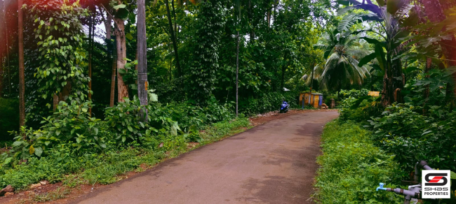 Farmland for sale in Kadappara, Palakkad