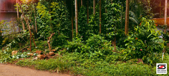 Farmland for sale in Kadappara, Palakkad