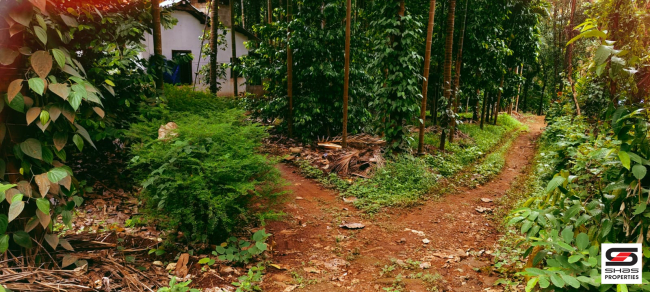 Farmland for sale in Kadappara, Palakkad