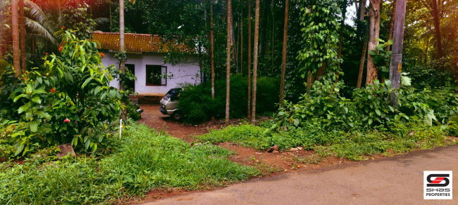Farmland for sale in Kadappara, Palakkad