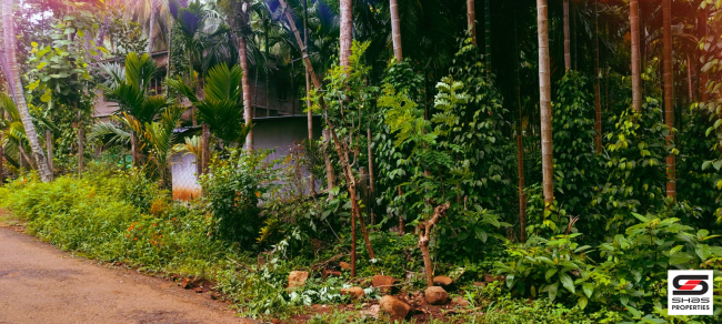 Farmland for sale in Kadappara, Palakkad