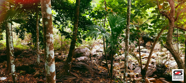 Farmland for sale in Kadappara, Palakkad