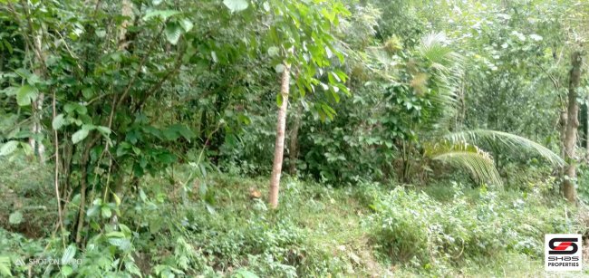 House plot for sale in Churuli, Idukki