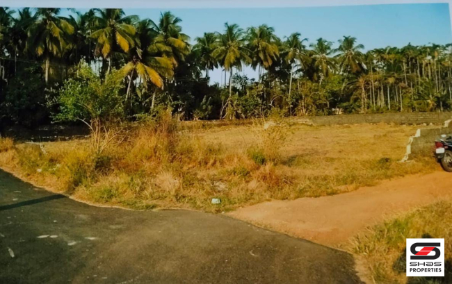 Plot for sale in Peramangalam, Thrissur