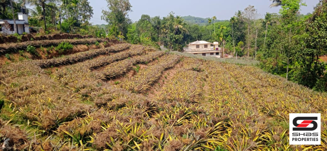Plot for sale in Airapuram, Ernakulam