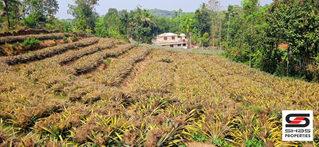 Plot for sale in Airapuram, Ernakulam