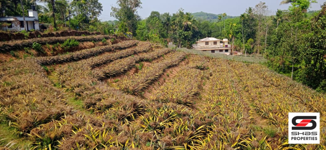 Plot for sale in Airapuram, Ernakulam