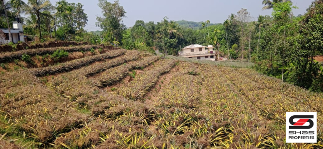 Plot for sale in Airapuram, Ernakulam