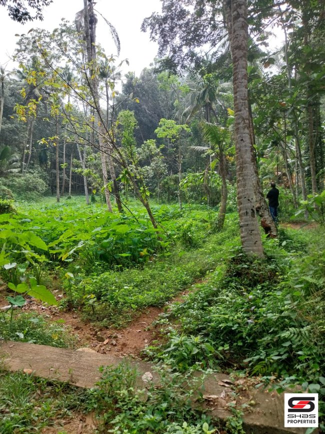 Land for sale near Vellanad, Trivandrum