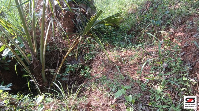 House plots for sale near Kondotty, Malappuram