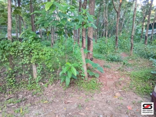 Rubber plot for sale at Chelakkara, Thrissur