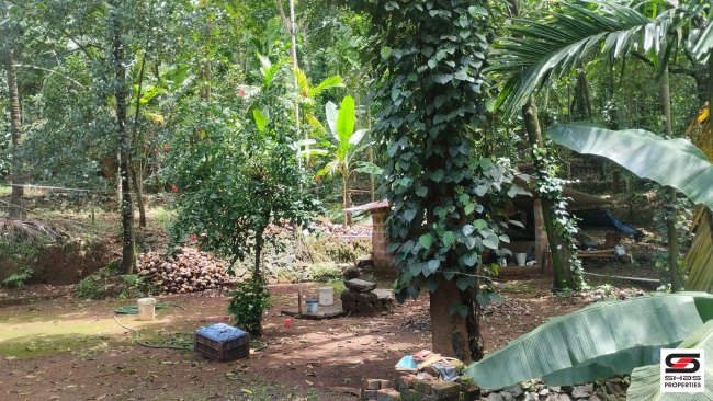 Land with old house for sale in Chemberi, Kannur