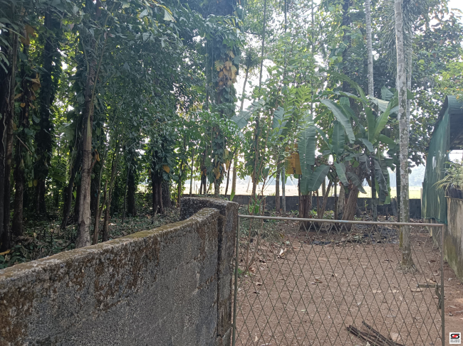 House plot for sale in Pukkattupady, Kochi