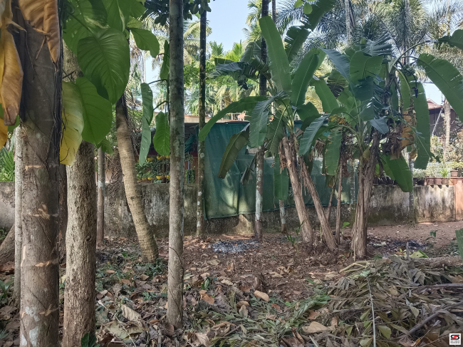 House plot for sale in Pukkattupady, Kochi