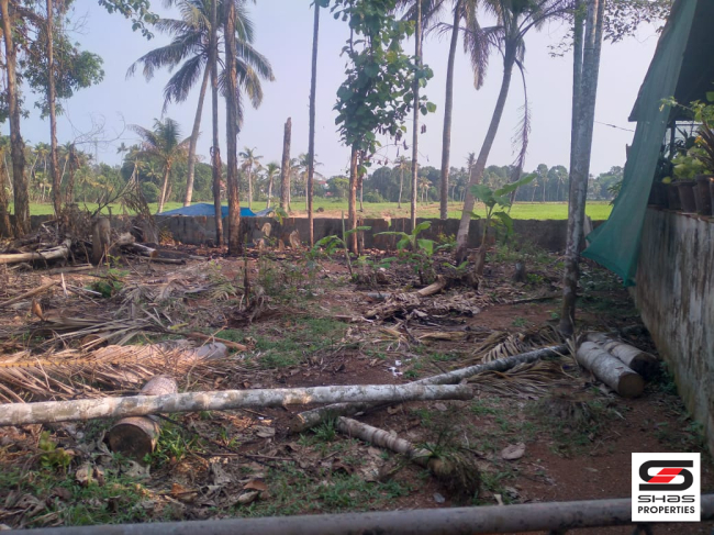 House plot for sale in Pukkattupady, Kochi