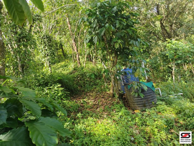 Resort land with house for sale near Anakulam, Idukki