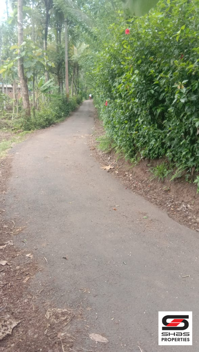 Farmland for sale near Pulpally, Wayanad