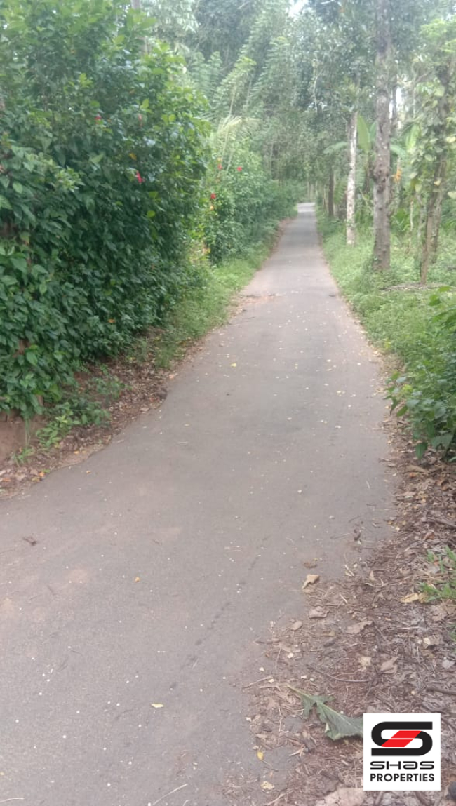 Farmland for sale near Pulpally, Wayanad