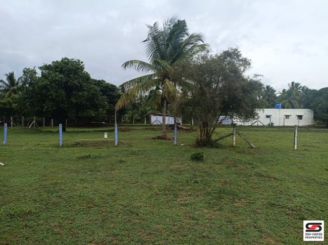 Land for sale in Pollachi, Coimbatore