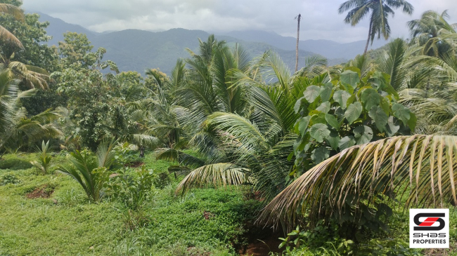 Farmland for sale near Vellarikundu, Kasaragod