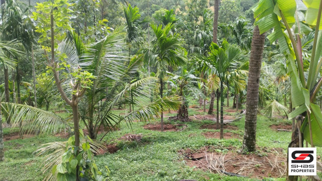 Farmland for sale near Vellarikundu, Kasaragod