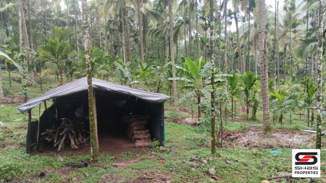 Farmland for sale near Vellarikundu, Kasaragod
