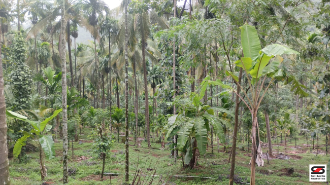 Farmland for sale near Vellarikundu, Kasaragod