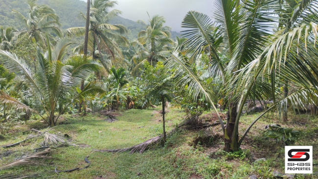 Farmland for sale near Vellarikundu, Kasaragod