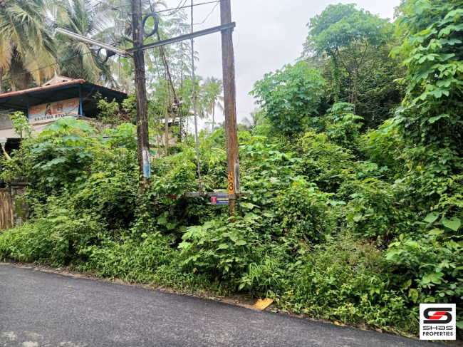 House plot for sale in Kallekkad, Palakkad