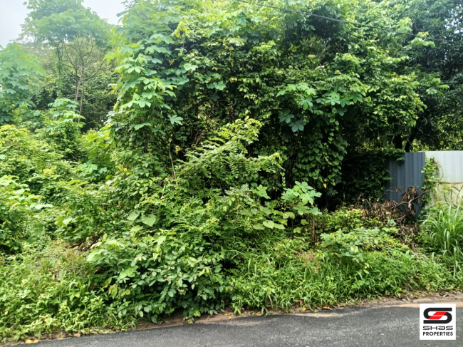 House plot for sale in Kallekkad, Palakkad