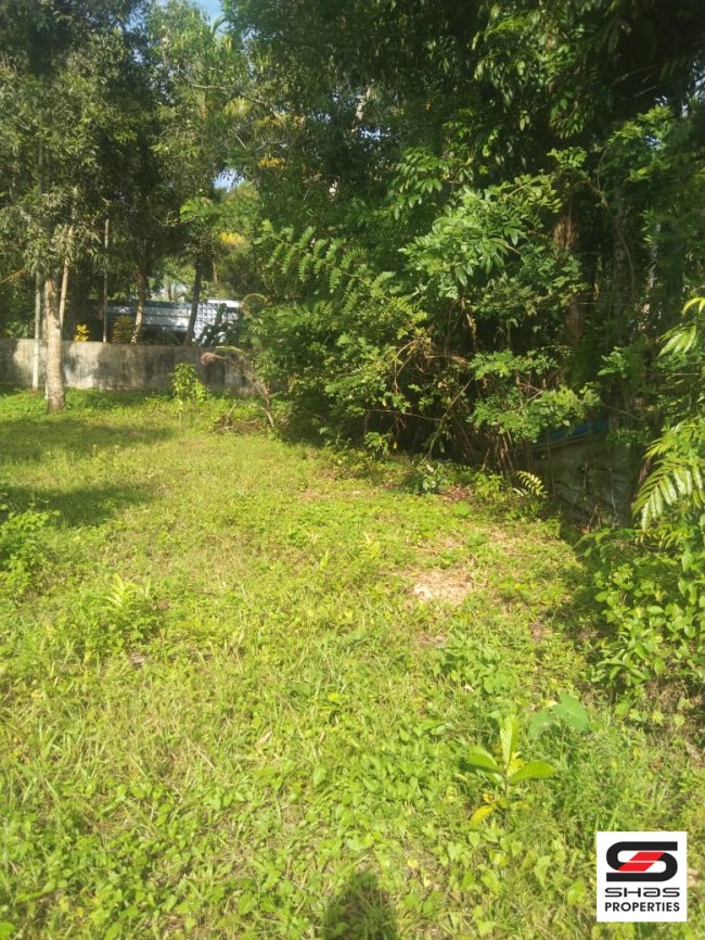 House plot for sale near Cherthala, Alappuzha