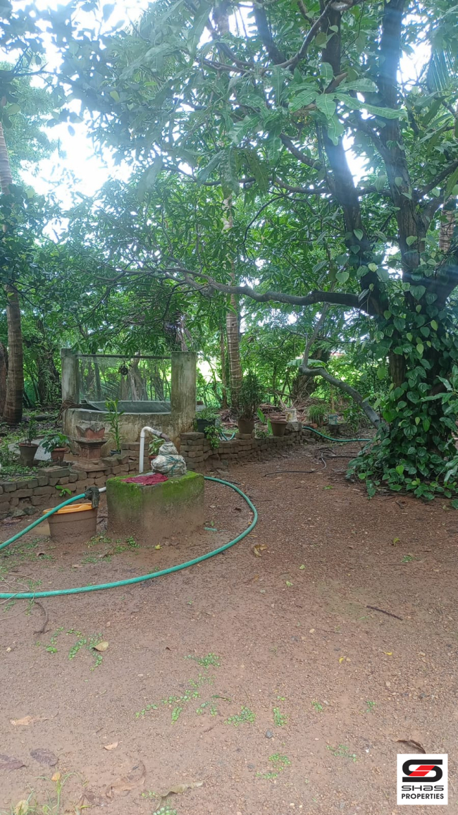 2 BHK house for sale in Kottekad, Palakkad